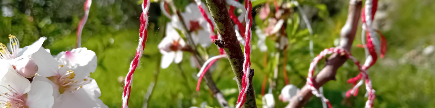 Martakia: The white-red bracelets of March welcome spring