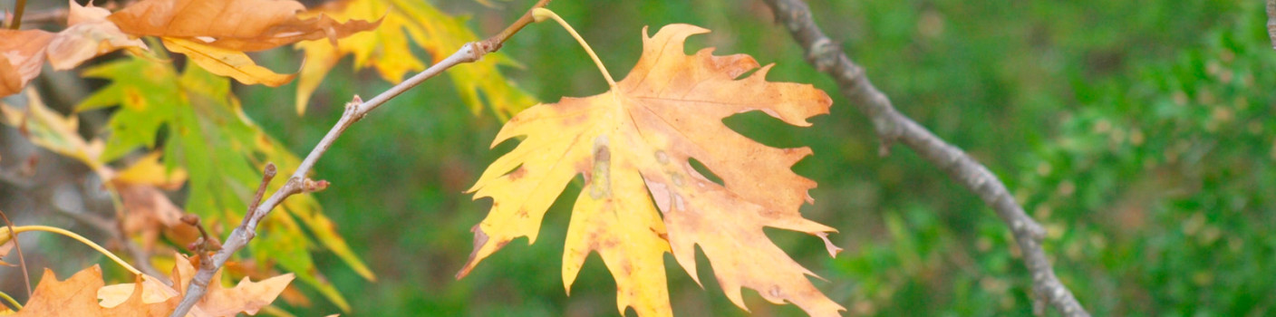 October, in the heart of autumn