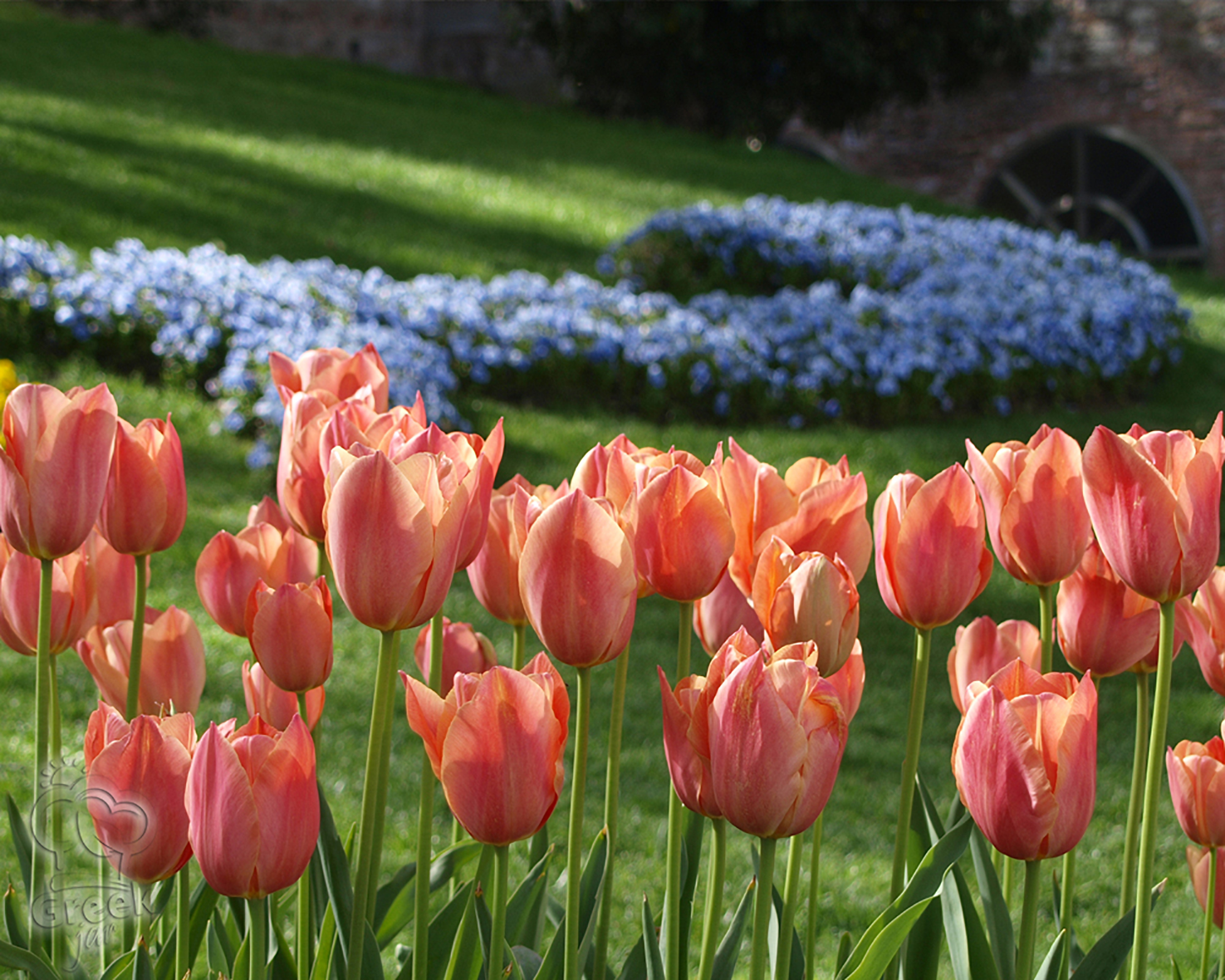 Visiting the Queen of cities